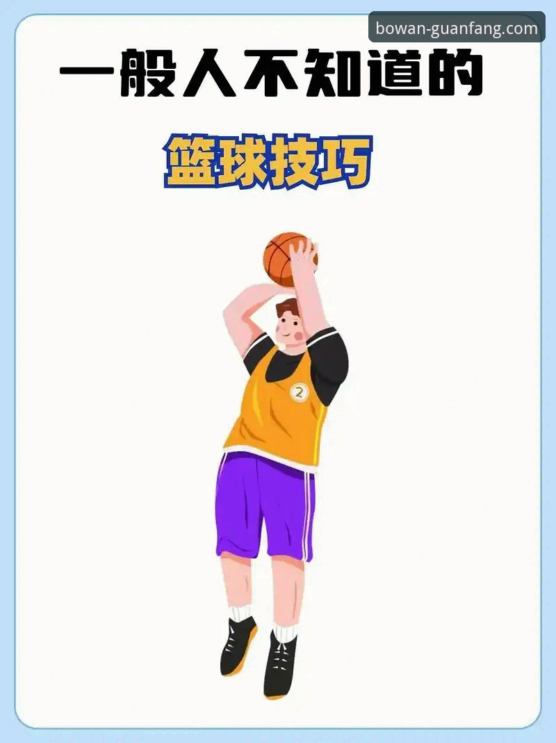 5步掌握BW篮球数据使用指南，从新手到达人的实战技巧
